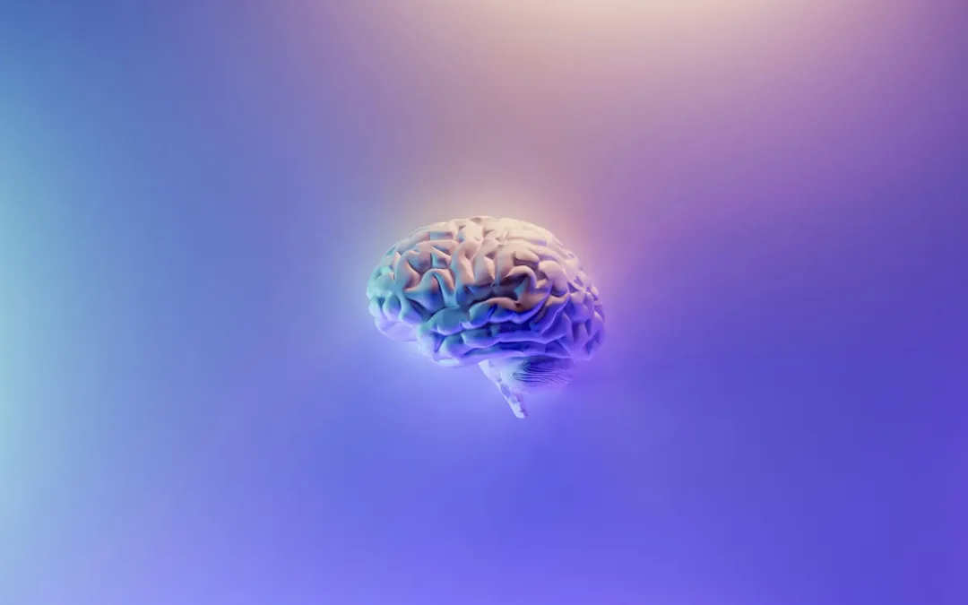 The Brain Behind the Deal: B2B-Kaufentscheidungen durch die Neurowissenschaft entschlüsselt